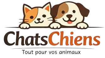 logo_chatschiens_2026
